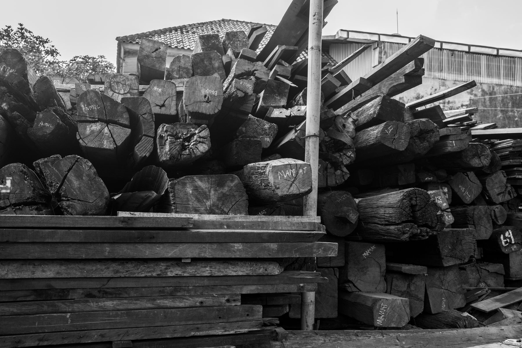 A yard stacked with old teak posts and beams, their cut ends marked in chalk